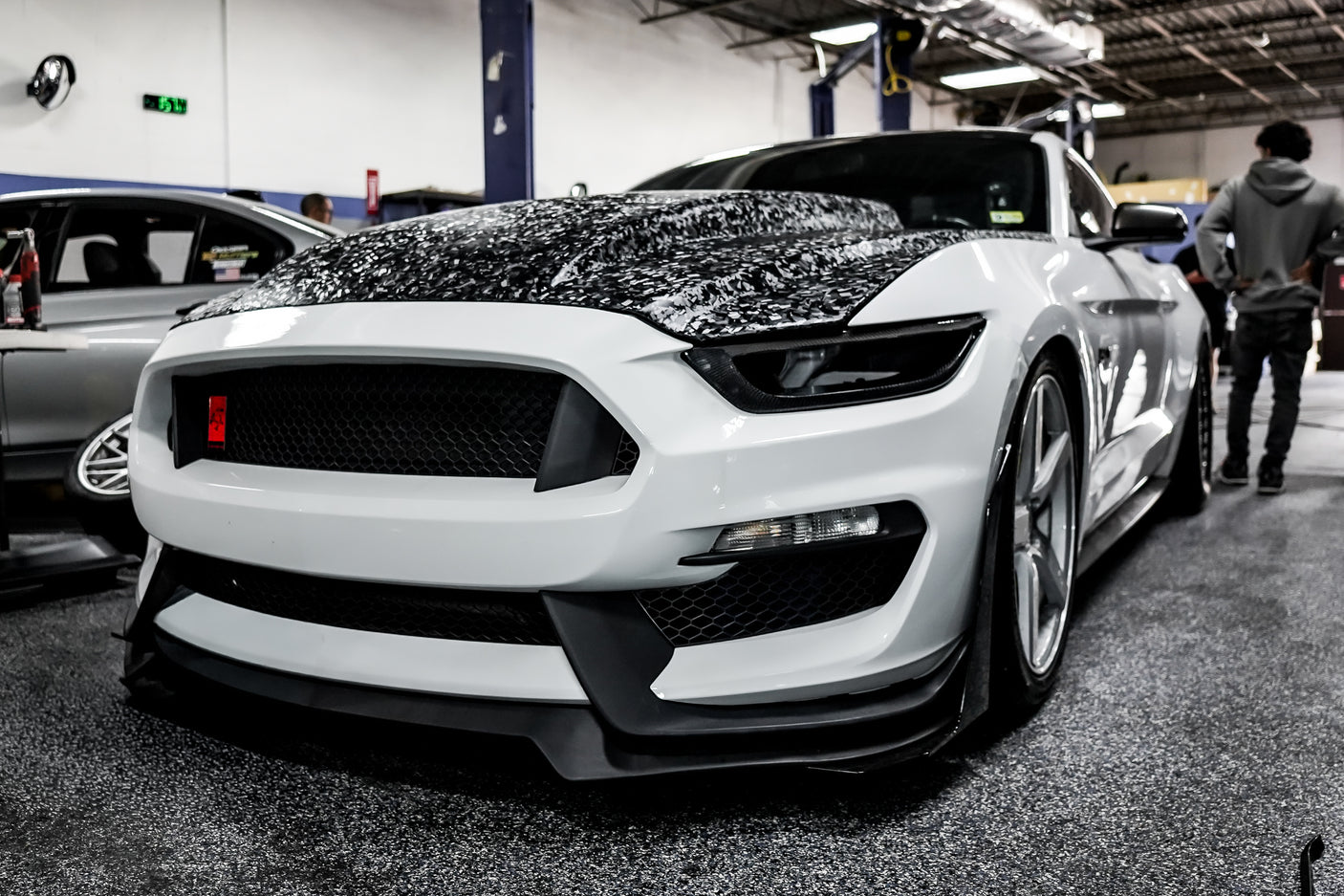SLE Carbon Fiber Headlight Delete Ford Mustang 2015–2017 / Shelby GT500 2020–2022