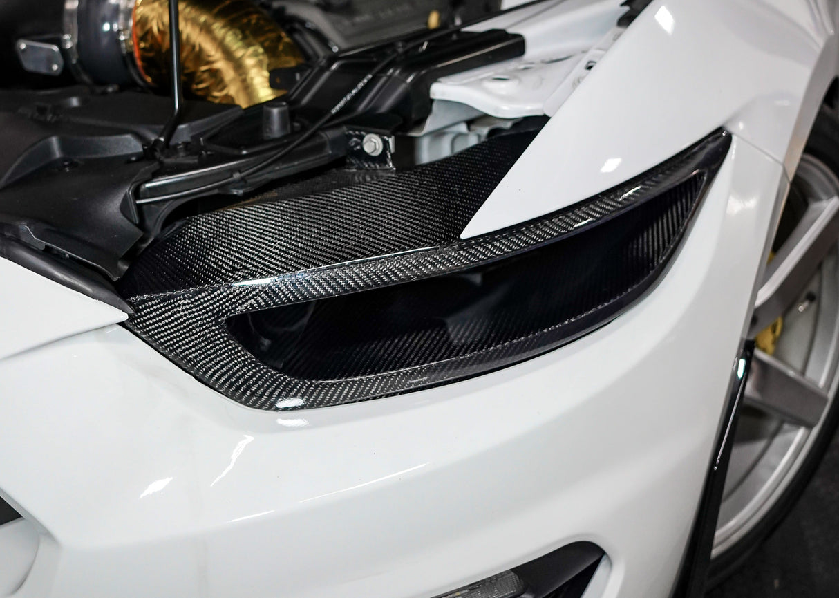 SLE Carbon Fiber Headlight Delete Ford Mustang 2015–2017 / Shelby GT500 2020–2022