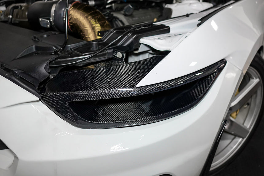 SLE Carbon Fiber Headlight Delete Ford Mustang 2015–2017 / Shelby GT500 2020–2022