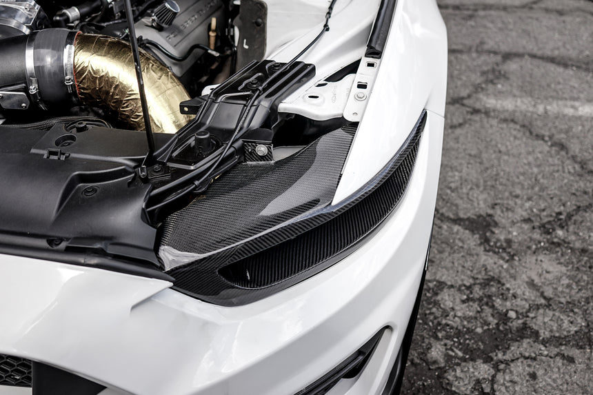 SLE Carbon Fiber Headlight Delete Ford Mustang 2015–2017 / Shelby GT500 2020–2022